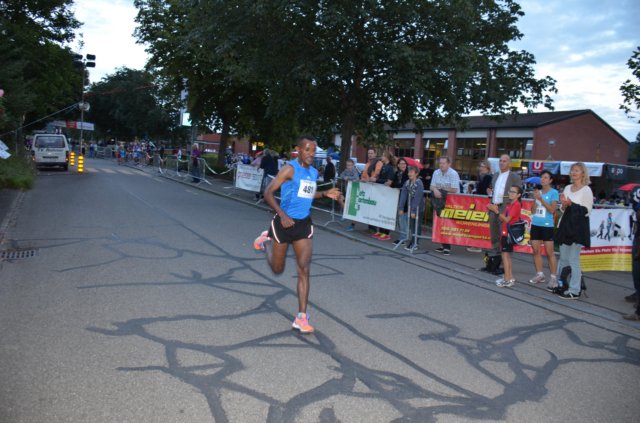 sikingalauf20149.jpg