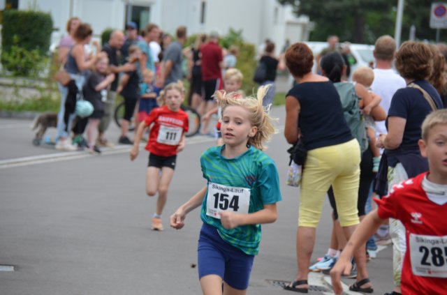 sikingalauf2708144.jpg