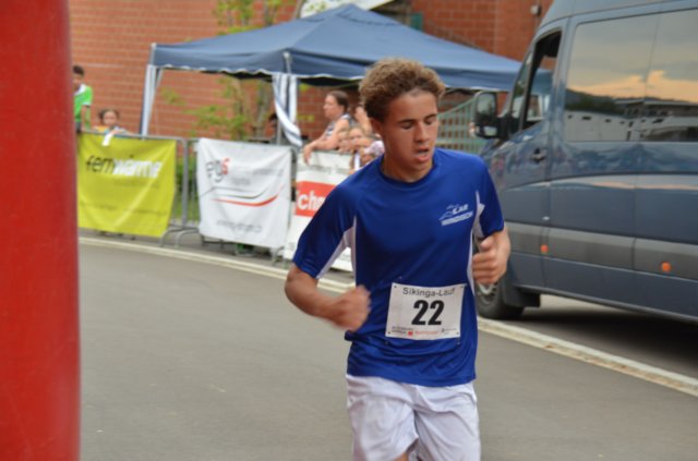 sikingalauf2708172.jpg